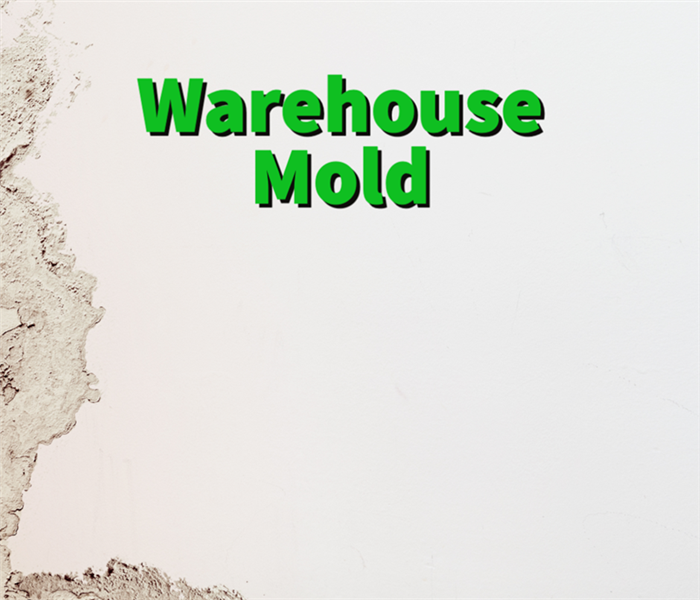 Warehouse mold damage