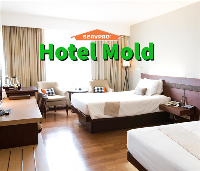 A hotel room free of mold 