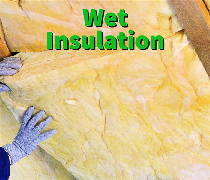A SERVPRO professional removing wet insulation